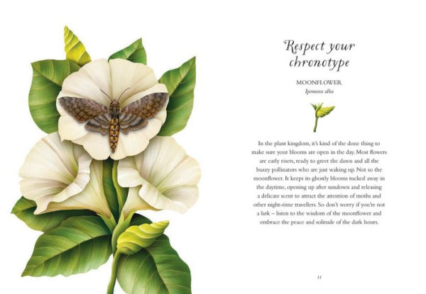 The Wisdom of Flowers: Essential Life Lessons for Joy and Wellbeing