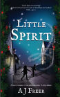 Little Spirit: A children's mystery adventure
