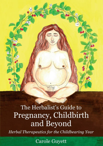 the Herbalist's Guide to Pregnancy, Childbirth and Beyond: Herbal Therapeutics for Childbearing Year