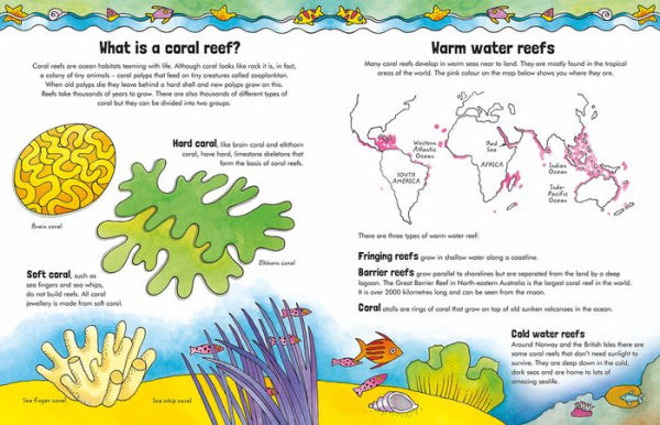 Make Your Own Coral Reef