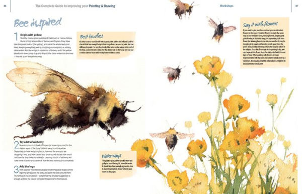 The Complete Guide to Improving Your Painting & Drawing: Follow Our Professional Artists and Create Your Best Art Yet