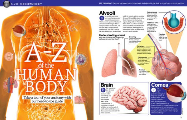 The Big Book of the Human Body