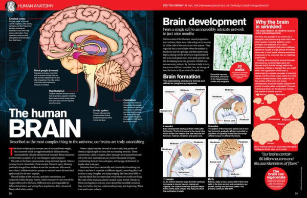 The Big Book of the Human Body