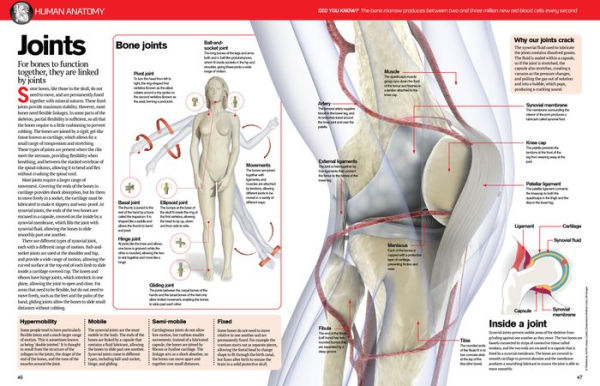 The Big Book of the Human Body