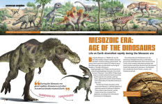 Alternative view 2 of Discovering Dinosaurs: The Secrets of the World's Most Amazing Creatures