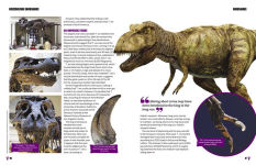 Alternative view 3 of Discovering Dinosaurs: The Secrets of the World's Most Amazing Creatures