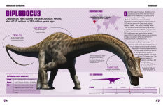 Alternative view 4 of Discovering Dinosaurs: The Secrets of the World's Most Amazing Creatures