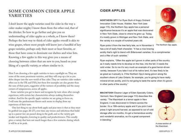 Cider: Understanding the world of natural, fine cider