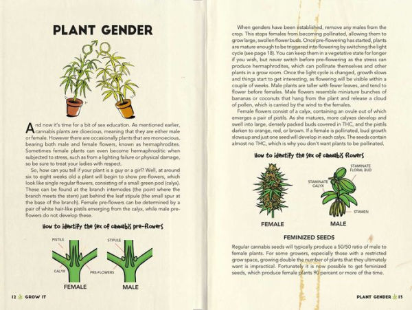 Weed All About It: A guide to growing, rolling, smoking, and eating your green