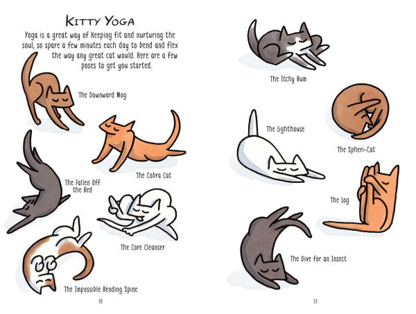 Mindful Meowments: A cat's guide to feeling purrfectly zen