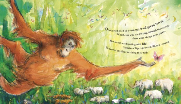 The Emerald Forest by Catherine Ward, Karin Littlewood, Hardcover