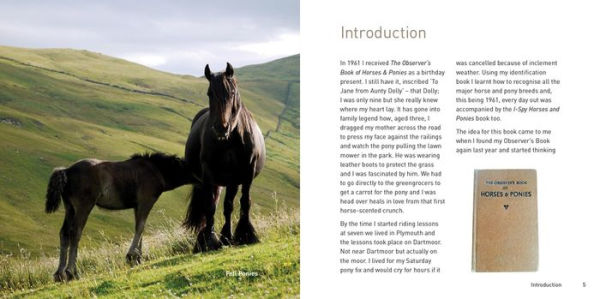 The Native Pony Book