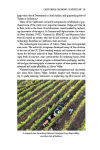 Alternative view 2 of The Wines of California