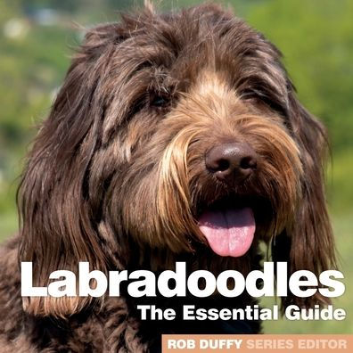 Labradoodles: The Essential Guide