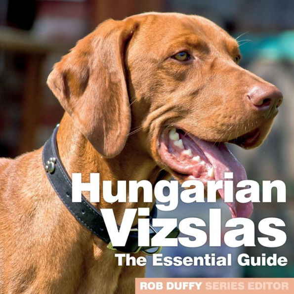 Hungarian Vizslas: The Essential Guide