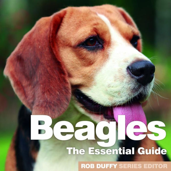 Beagles: The Essential Guide