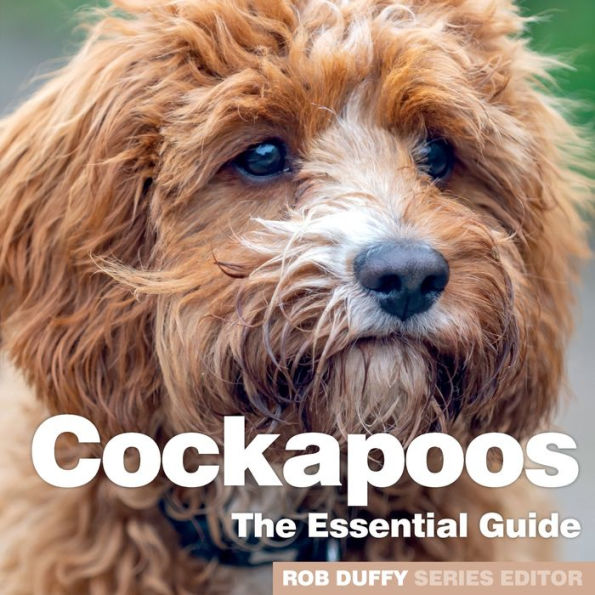 Cockerpoos