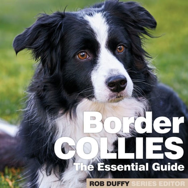 Border Collies: The Essential Guide by Robert Duffy, Paperback | Barnes ...