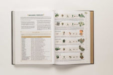 Alternative view 17 of The Legend of ZeldaT: Tears of the Kingdom - The Complete Official Guide: Collector's Edition