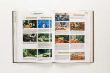 Alternative view 18 of The Legend of ZeldaT: Tears of the Kingdom - The Complete Official Guide: Collector's Edition