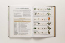 Alternative view 16 of Titre: The Legend of ZeldaT: Tears of the Kingdom - Le Guide Officiel Complet: Édition Collector