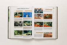 Alternative view 8 of Titre: The Legend of ZeldaT: Tears of the Kingdom - Le Guide Officiel Complet: Édition Collector