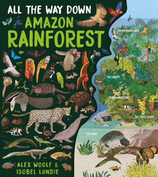 All the Way Down: Amazon Rainforest