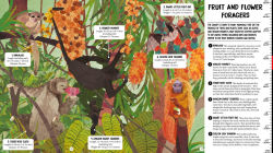 Alternative view 11 of All the Way Down: Amazon Rainforest