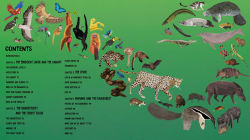 Alternative view 7 of All the Way Down: Amazon Rainforest