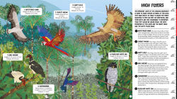 Alternative view 8 of All the Way Down: Amazon Rainforest