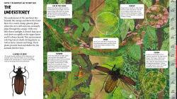Alternative view 10 of All the Way Down: Amazon Rainforest