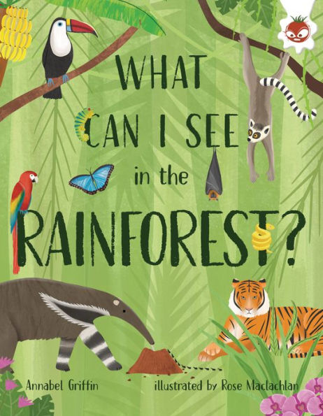 What Can I See in the Rainforest?