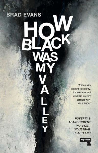 How Black Was My Valley: Poverty and Abandonment a Post-Industrial Heartland