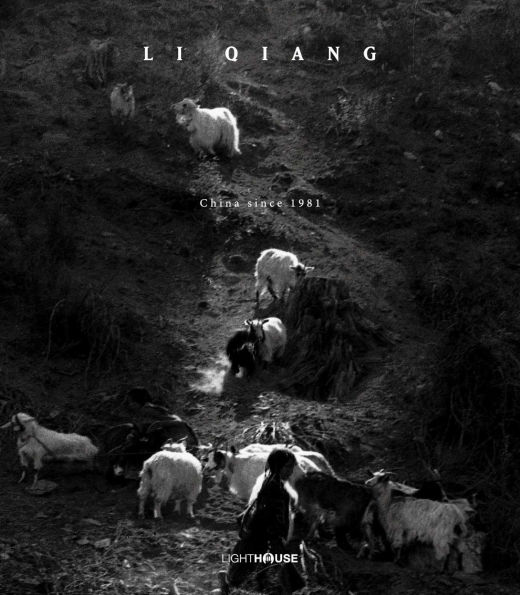 Li Qiang: China Since 1981