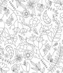 Alternative view 9 of Large Print Colour & Frame - Calm: 31 Relaxing Colouring Pages to Enjoy