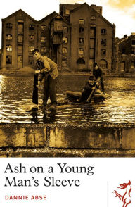 Title: Ash on a Young Man's Sleeve, Author: Dannie Abse