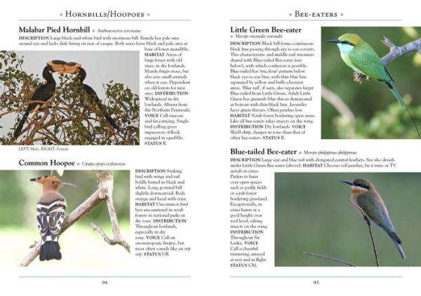 A Naturalists Guide To The Birds Of Sri Lanka By Gehan De Silva Wijeyeratne Paperback Barnes 
