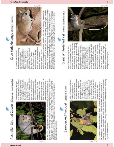 Wildlife of the Australian Rainforests: A State-by-State Guide