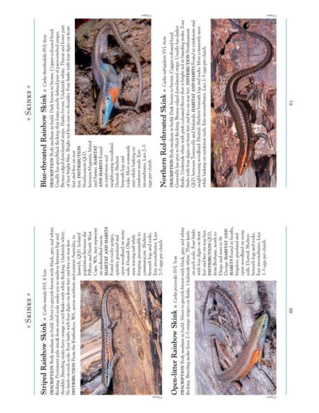 A Naturalist's Guide to the Lizards of Australia