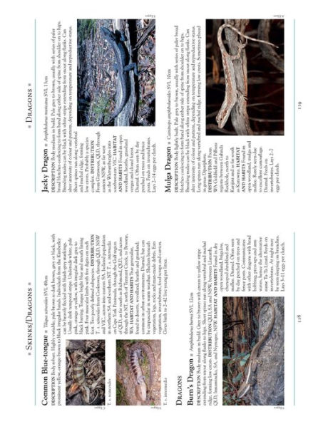 A Naturalist's Guide to the Lizards of Australia