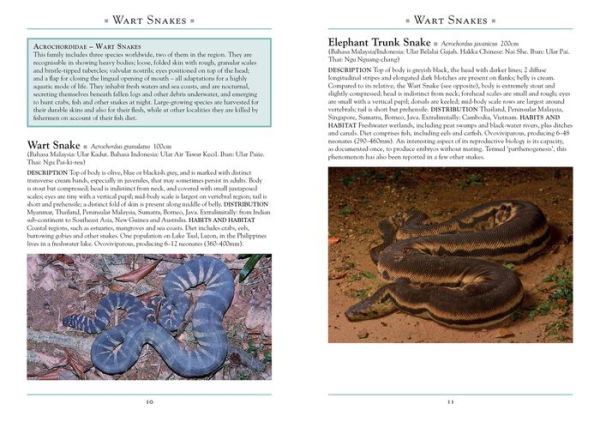 A Naturalist's Guide to the Snakes of Southeast Asia 3rd