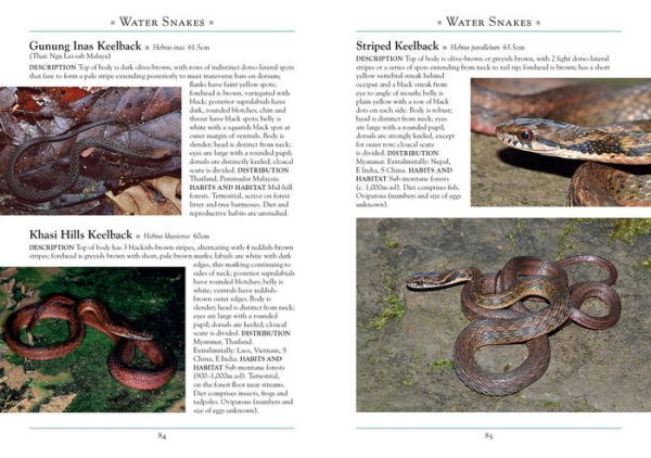 A Naturalist's Guide to the Snakes of Southeast Asia 3rd