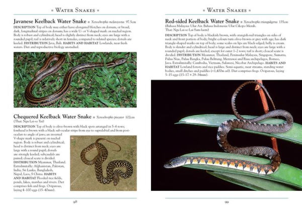 A Naturalist's Guide to the Snakes of Southeast Asia 3rd