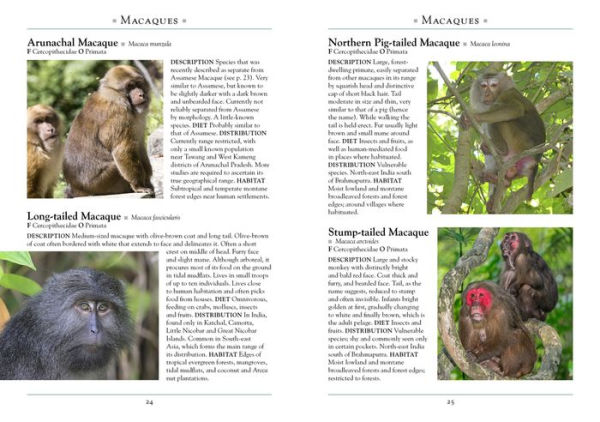 A Naturalist's Guide to the Mammals of India