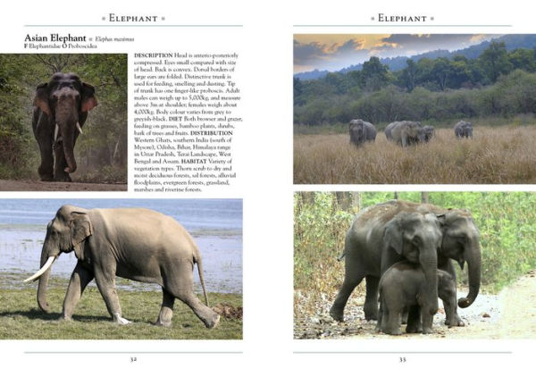 A Naturalist's Guide to the Mammals of India