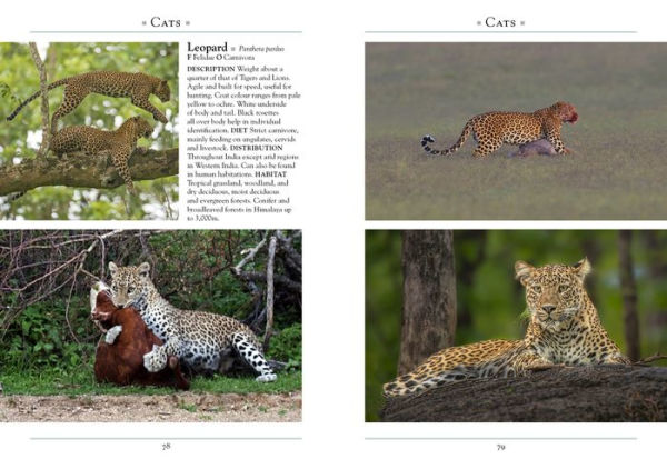 A Naturalist's Guide to the Mammals of India