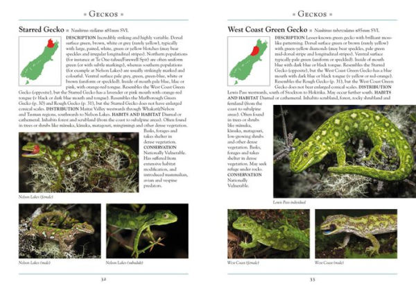 A Naturalist's Guide to the Reptiles & Amphibians of New Zealand by