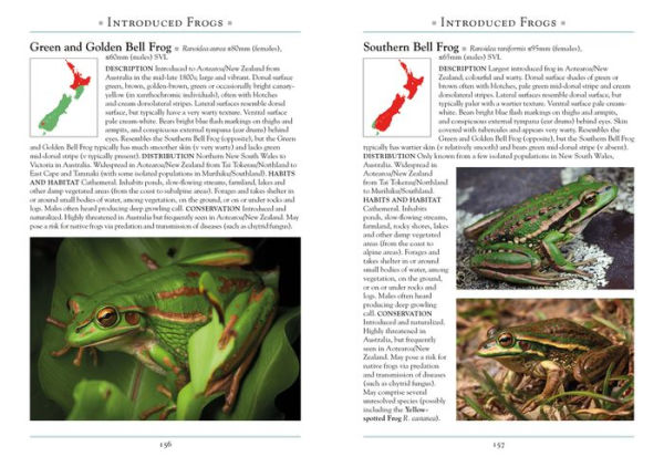 A Naturalist's Guide to the Reptiles & Amphibians of New Zealand by