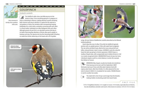 An ID Guide to Garden Birds of Britain & Northwest Europe
