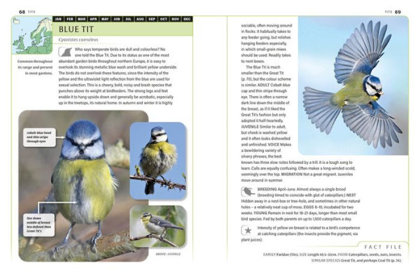 An ID Guide to Garden Birds of Britain & Northwest Europe